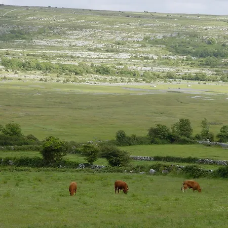 Clare's Rock Self-catering * Carron