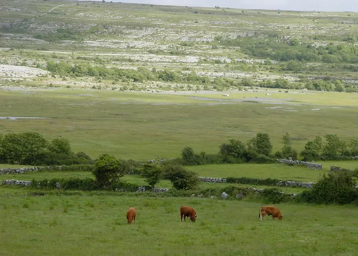 Clare's Rock Self-catering * Carron